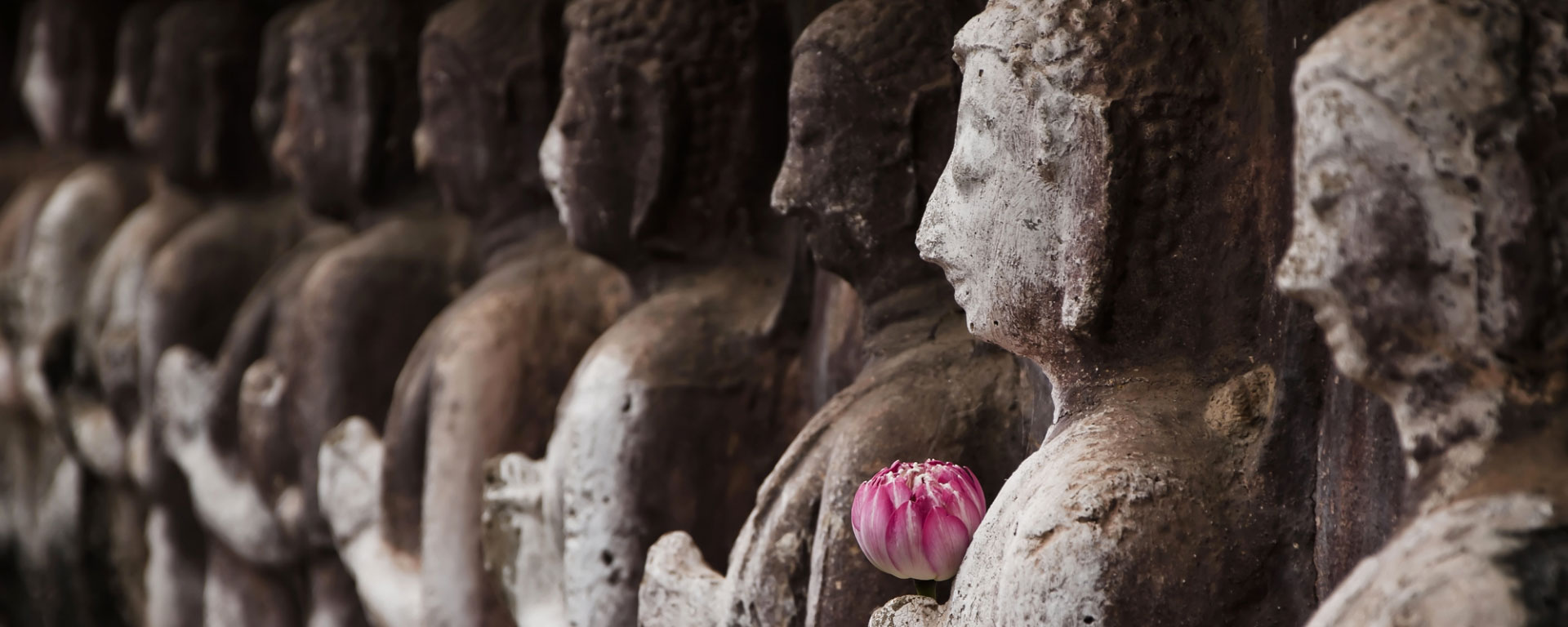 Rituals bild av buddha statyer